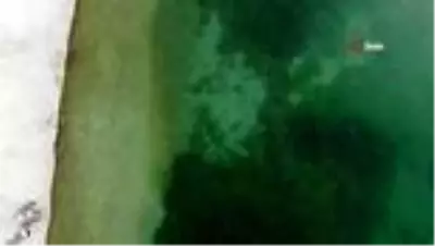 Büyükçekmece'de tekneden sızan yakıt denizi kirletti Büyükçekmece'de tekneden sızan yakıt denizi kirletti