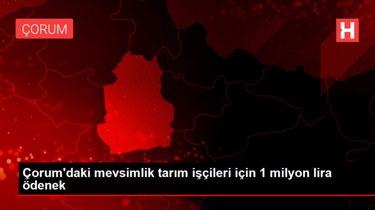 Çorum'daki mevsimlik tarım işçileri için 1 milyon lira ödenek
