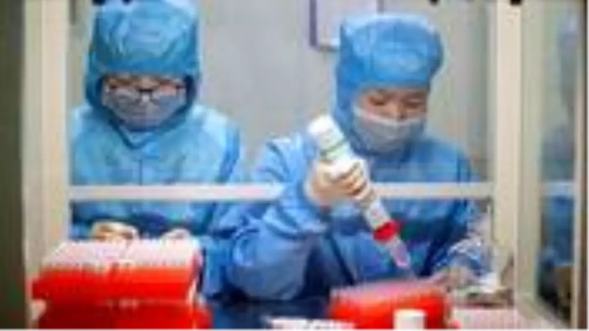 Dünya Sağlık Örgütü müjdeli haberi verdi: Koronavirüs aşısı yıl sonuna kadar hazır olabilir