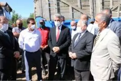 Erzincan'da şeker pancarı hasadı başladı Erzincan'da şeker pancarı hasadı başladı