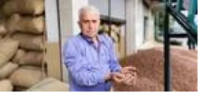 Fındık fiyatı, üreticilerin yüzünü güldürüyor