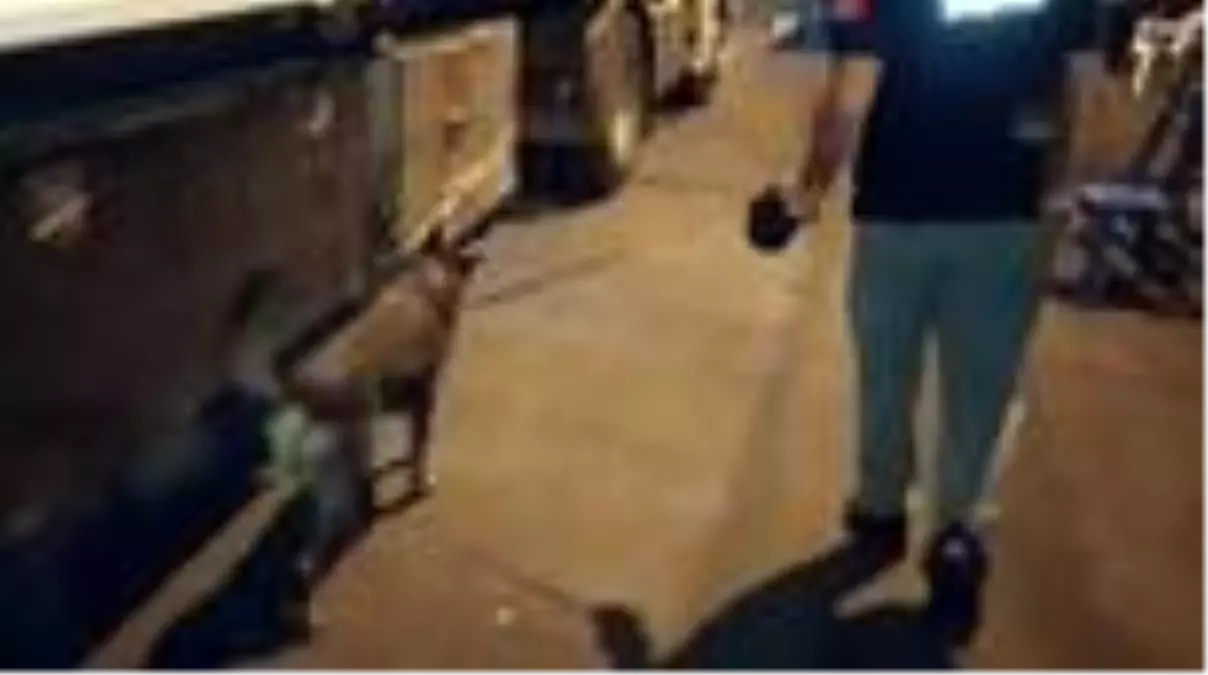 Kaçakçılık denetimleri: 7 gözaltı