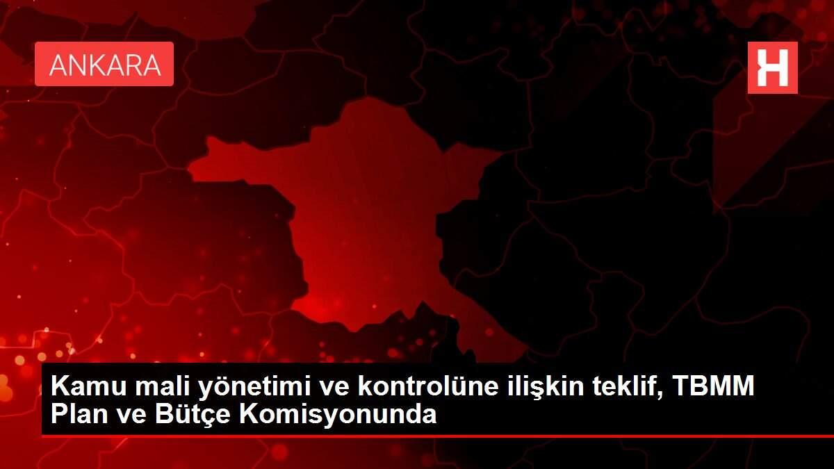 Kamu mali yönetimi ve kontrolüne ilişkin teklif, TBMM Plan ve Bütçe Komisyonunda