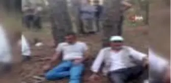 Azdavay: Son dakika haber: - Kastamonu'daki iki ayrı ilçede çıkan orman yangını söndürüldü Azdavay: Son dakika haber: - Kastamonu'daki iki ayrı ilçede çıkan orman yangını söndürüldü