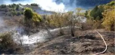 Son dakika haber: - Kastamonu'daki iki ayrı ilçede çıkan orman yangını söndürüldü Son dakika haber: - Kastamonu'daki iki ayrı ilçede çıkan orman yangını söndürüldü