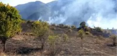 Son dakika haber: - Kastamonu'daki iki ayrı ilçede çıkan orman yangını söndürüldü Son dakika haber: - Kastamonu'daki iki ayrı ilçede çıkan orman yangını söndürüldü