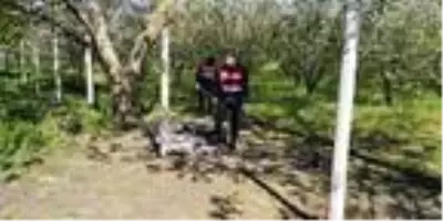 Tarla cinayetinin zanlısı konuştu Açıklaması Tarla cinayetinin zanlısı konuştu Açıklaması