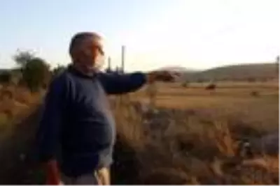 Köylüler, tapu çalışmasının yenilenmesini istedi Köylüler, tapu çalışmasının yenilenmesini istedi