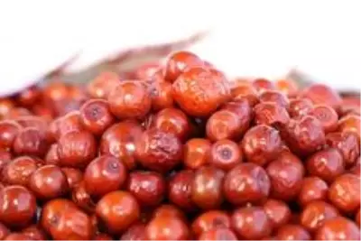 Şifa kaynağı hünnapta hasat başladı