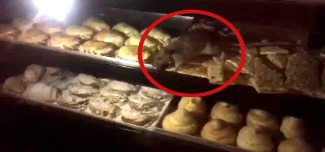 Tatlıcının vitrinindeki baklavayı yiyen fare kameraya yansıdı