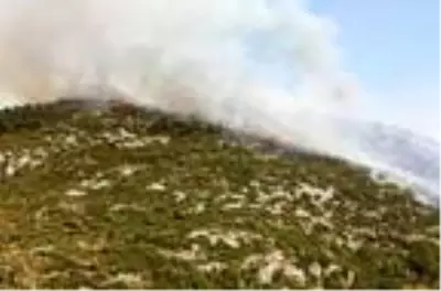 Son dakika haberi: Alanya'da makilik yangını Son dakika haberi: Alanya'da makilik yangını
