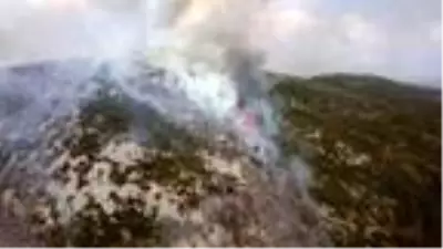 Son dakika haberi: Alanya'da makilik yangını Son dakika haberi: Alanya'da makilik yangını