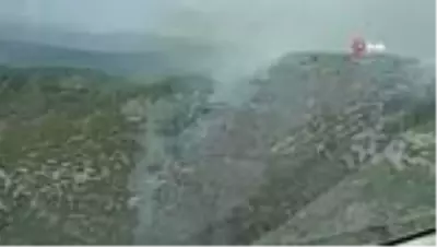 Alanya'daki orman yangınında 6 hektarlık alan zarar gördü Alanya'daki orman yangınında 6 hektarlık alan zarar gördü