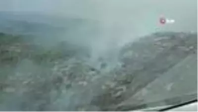 Alanya'daki orman yangınında 6 hektarlık alan zarar gördü Alanya'daki orman yangınında 6 hektarlık alan zarar gördü