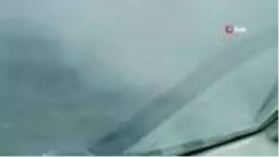 Alanya'daki orman yangınında 6 hektarlık alan zarar gördü Alanya'daki orman yangınında 6 hektarlık alan zarar gördü
