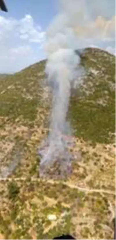 Alanya'daki orman yangınında 6 hektarlık alan zarar gördü Alanya'daki orman yangınında 6 hektarlık alan zarar gördü