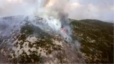 Alanya'daki orman yangınında 6 hektarlık alan zarar gördü Alanya'daki orman yangınında 6 hektarlık alan zarar gördü