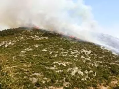 Alanya'daki orman yangınında 6 hektarlık alan zarar gördü Alanya'daki orman yangınında 6 hektarlık alan zarar gördü
