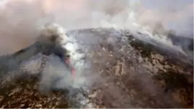 Alanya'daki orman yangınında 6 hektarlık alan zarar gördü Alanya'daki orman yangınında 6 hektarlık alan zarar gördü