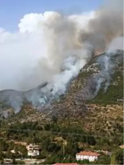 Alanya'daki orman yangınında 6 hektarlık alan zarar gördü Alanya'daki orman yangınında 6 hektarlık alan zarar gördü