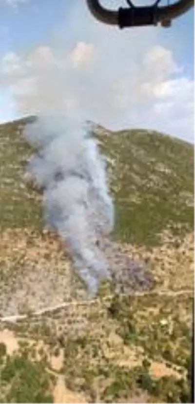 Alanya'daki orman yangınında 6 hektarlık alan zarar gördü Alanya'daki orman yangınında 6 hektarlık alan zarar gördü
