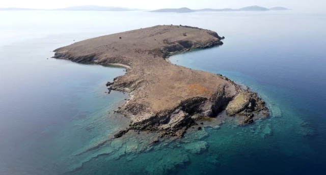 Son dakika haberi | Ayvalık'ta Kız Adası'nın korunması sevinci