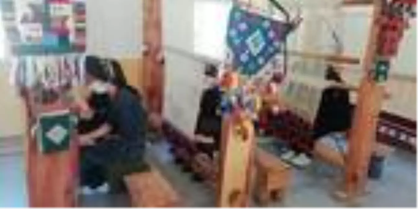 Çamelili kadınlar ev ekonomisine katkı sağlayacak