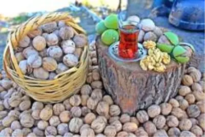 Cevizin anavatanında hasat dönemi başladı Cevizin anavatanında hasat dönemi başladı