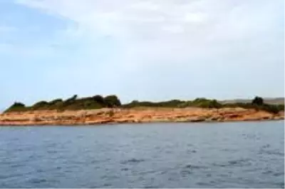 Didim'de deniz altında 5 bin yıllık olduğu değerlendirilen liman kalıntıları bulundu Didim'de deniz altında 5 bin yıllık olduğu değerlendirilen liman kalıntıları bulundu