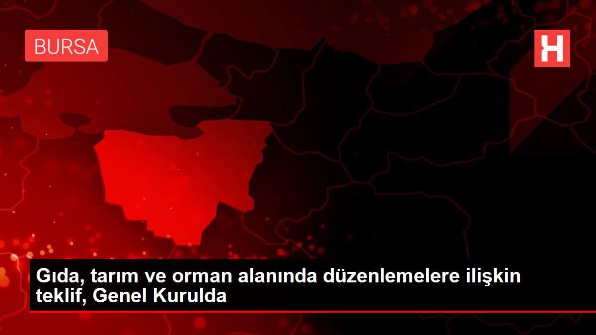 Gıda, tarım ve orman alanında düzenlemelere ilişkin teklif, Genel Kurulda