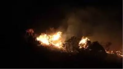 Son Dakika | Hatay'da orman yangını Son Dakika | Hatay'da orman yangını