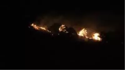 Son Dakika | Hatay'da orman yangını Son Dakika | Hatay'da orman yangını