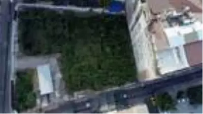 Kemeraltı'ndaki tarihi alan sazlığa döndü Kemeraltı'ndaki tarihi alan sazlığa döndü