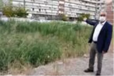 Kemeraltı'ndaki tarihi alan sazlığa döndü Kemeraltı'ndaki tarihi alan sazlığa döndü