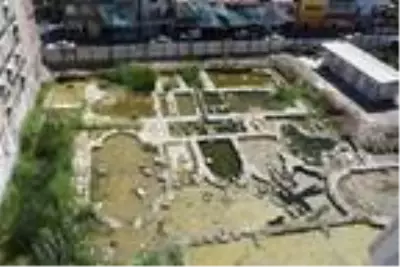Kemeraltı'ndaki tarihi alan sazlığa döndü Kemeraltı'ndaki tarihi alan sazlığa döndü