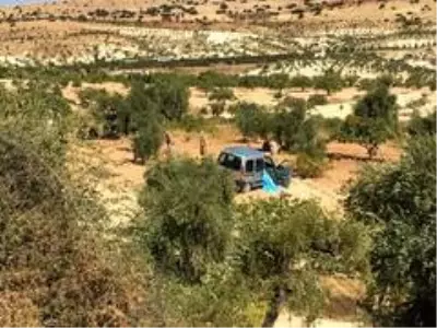 Son dakika haberi... Ölüm direksiyon başında yakaladı Son dakika haberi... Ölüm direksiyon başında yakaladı