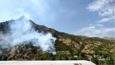 Şemdinli'de orman yangını Şemdinli'de orman yangını