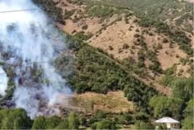 Şemdinli'de orman yangını Şemdinli'de orman yangını