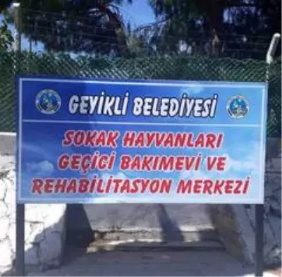 Ünlü komedyen Ata Demirer'den hayvanseverlere çağrı Ünlü komedyen Ata Demirer'den hayvanseverlere çağrı