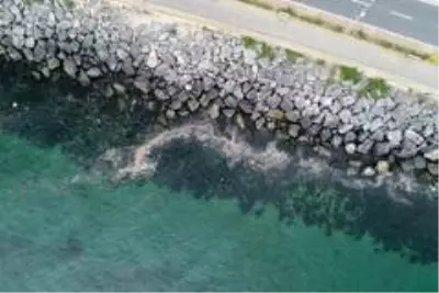 Yenikapı Sahili'nde kirlilik su altı drone kamerasında Yenikapı Sahili'nde kirlilik su altı drone kamerasında
