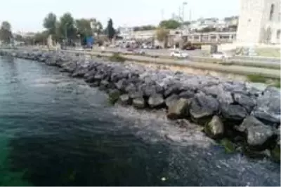 Yenikapı Sahili'nde kirlilik su altı drone kamerasında Yenikapı Sahili'nde kirlilik su altı drone kamerasında