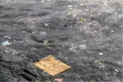 Yenikapı Sahili'nde kirlilik su altı drone kamerasında Yenikapı Sahili'nde kirlilik su altı drone kamerasında