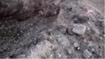 Asboğa Höyüğü defineciler tarafından iş makineleri ile kazıldı Asboğa Höyüğü defineciler tarafından iş makineleri ile kazıldı