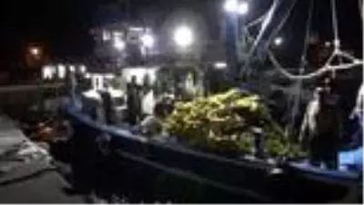Balıkçıların yüzü palamutla güldü Balıkçıların yüzü palamutla güldü