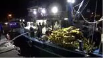 Balıkçıların yüzü palamutla güldü Balıkçıların yüzü palamutla güldü