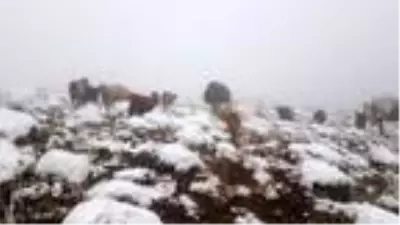 Başkale'nin yükseklerine kar yağdı