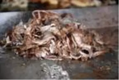 Fiyatı düşürmek için et dönerde kanatlı hayvan ve loğusa şerbetli hile yapıyorlar Fiyatı düşürmek için et dönerde kanatlı hayvan ve loğusa şerbetli hile yapıyorlar