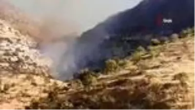 Fıstık tarlasında çıkan yangın söndürüldü