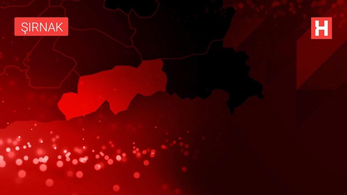 Şırnak'ta 2 terörist etkisiz hale getirildi Şırnak'ta 2 terörist etkisiz hale getirildi