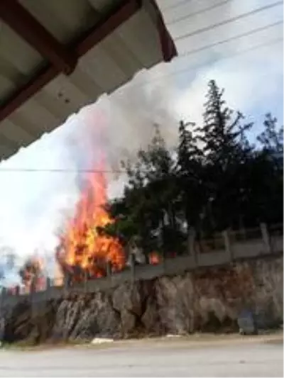 Son dakika! Hastane bahçesinde yangın paniği- Son dakika! Hastane bahçesinde yangın paniği-